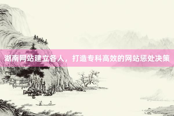 湖南网站建立各人，打造专科高效的网站惩处决策