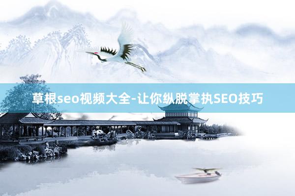 草根seo视频大全-让你纵脱掌执SEO技巧