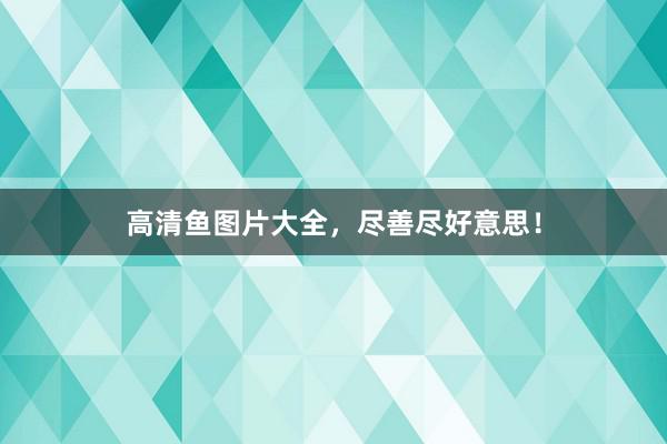 高清鱼图片大全，尽善尽好意思！